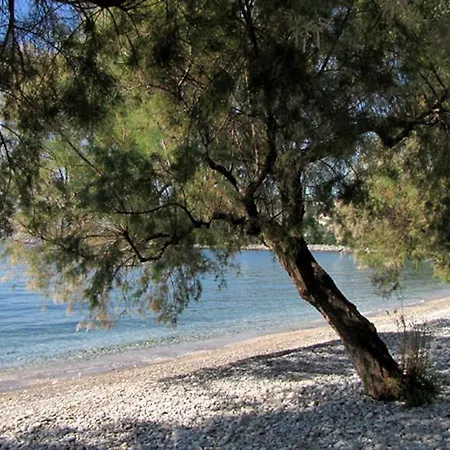 Iro Family Pelion Apartment *